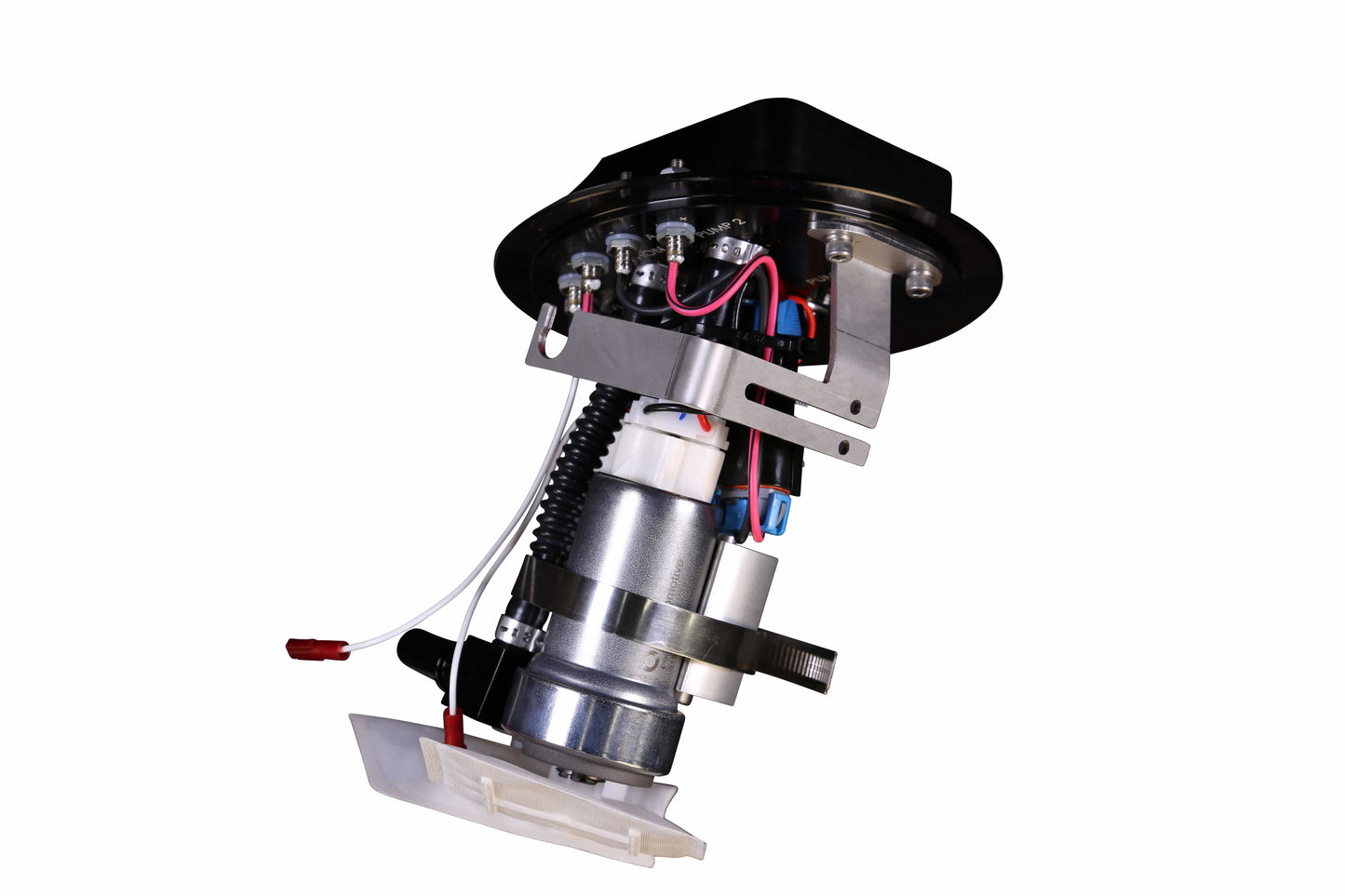 AFS18094.jpg