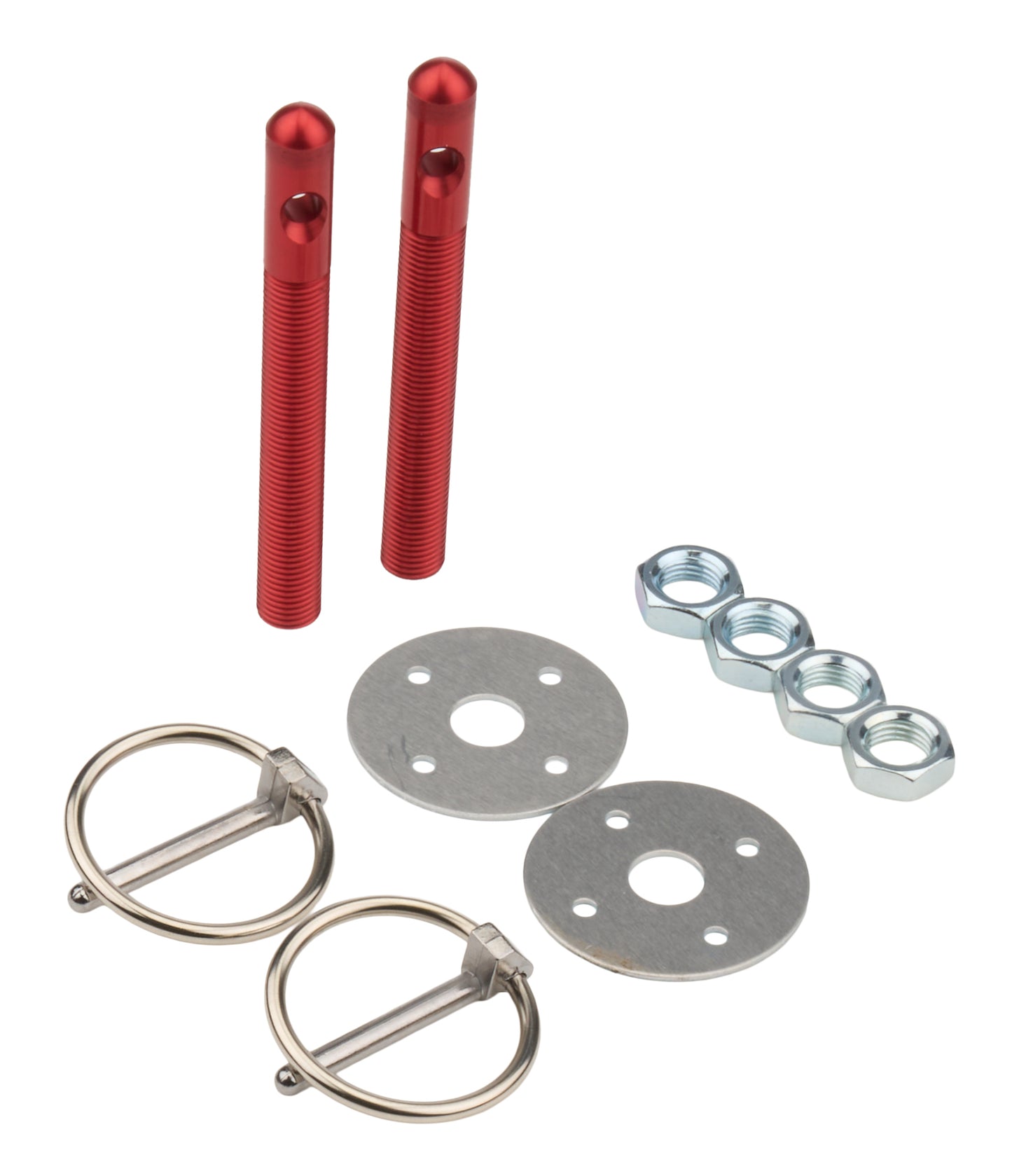 ALL18481.jpg