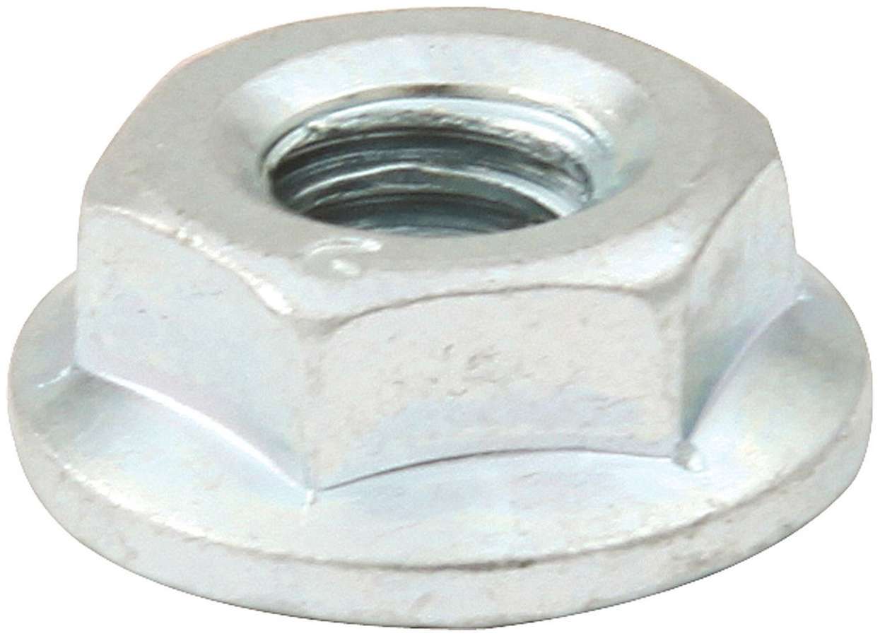 ALL18557.jpg