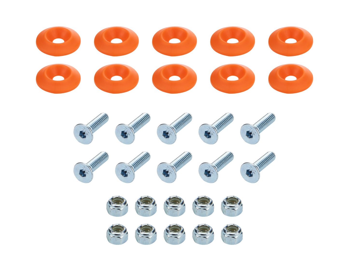 ALL18684.jpg