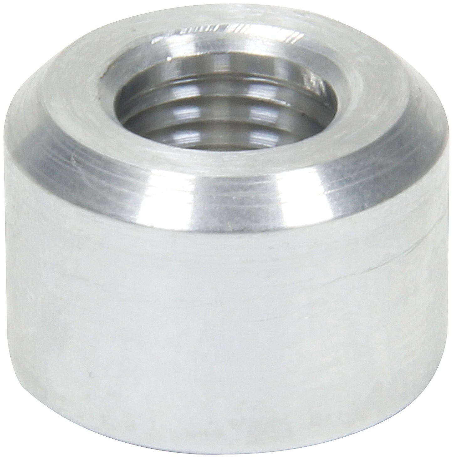 ALL50742.jpg