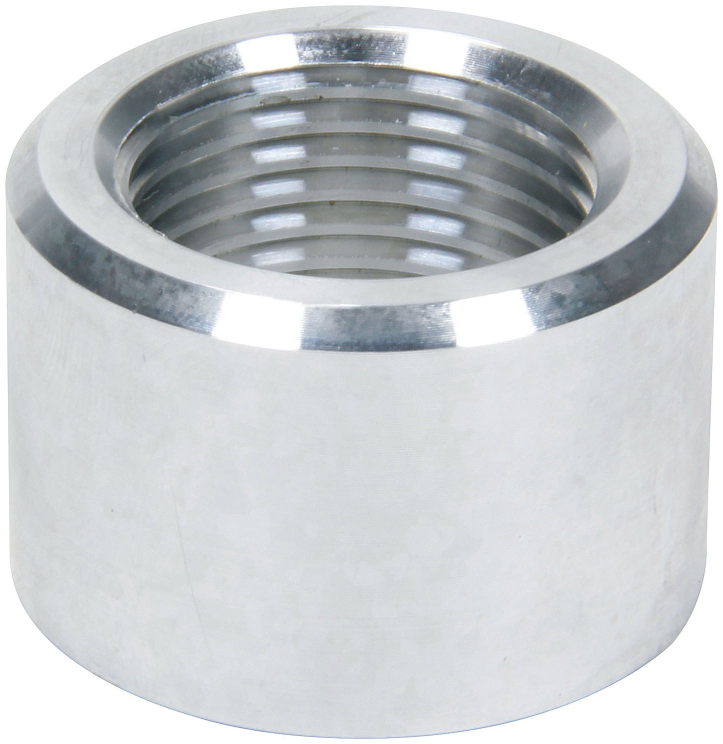 ALL50784.jpg
