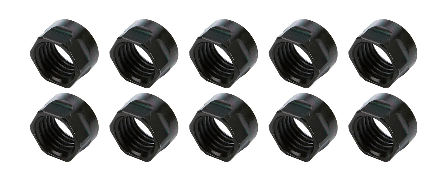 ALL56068-10.jpg