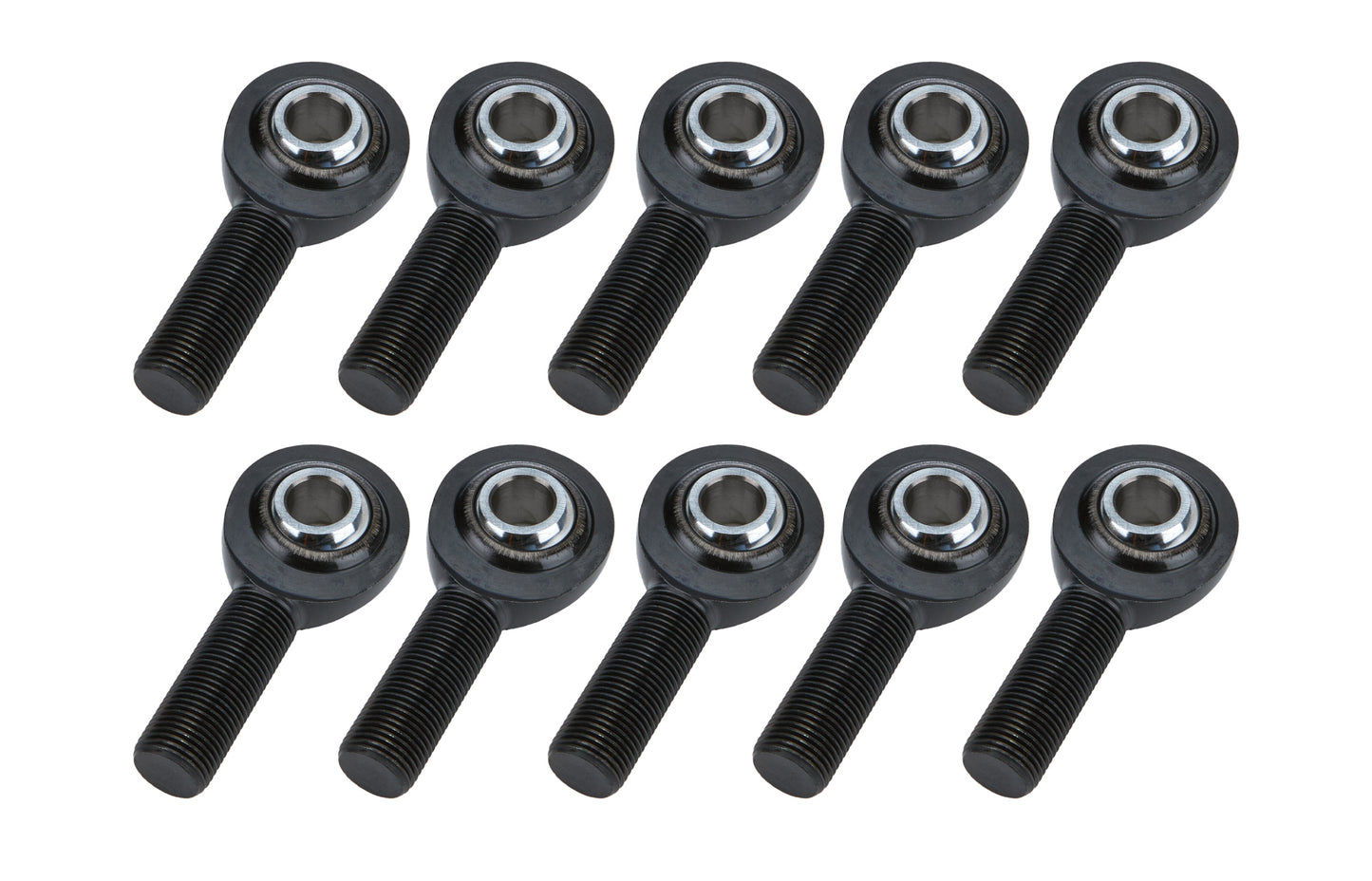 ALL58059-10.jpg