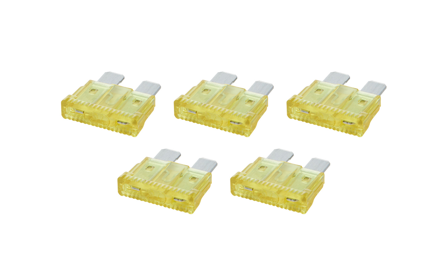 ALL76367.jpg