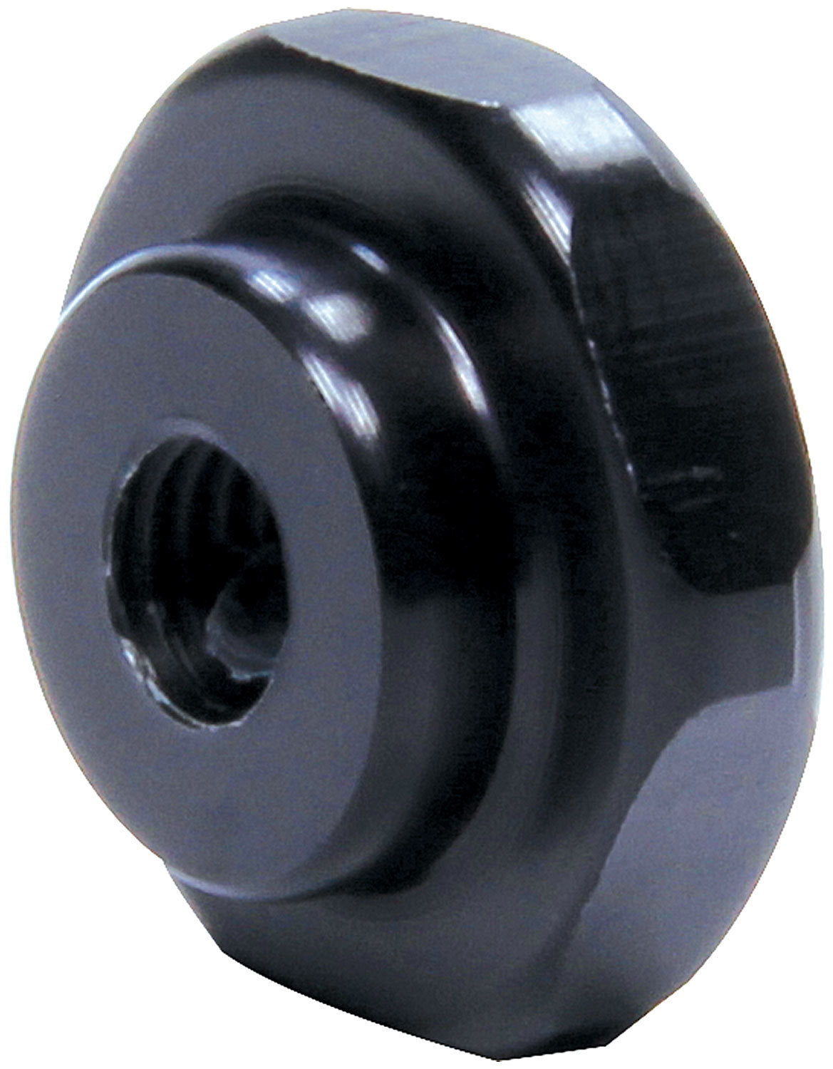ALL99384.jpg