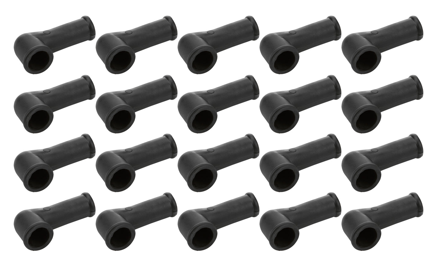 ALL99501.jpg