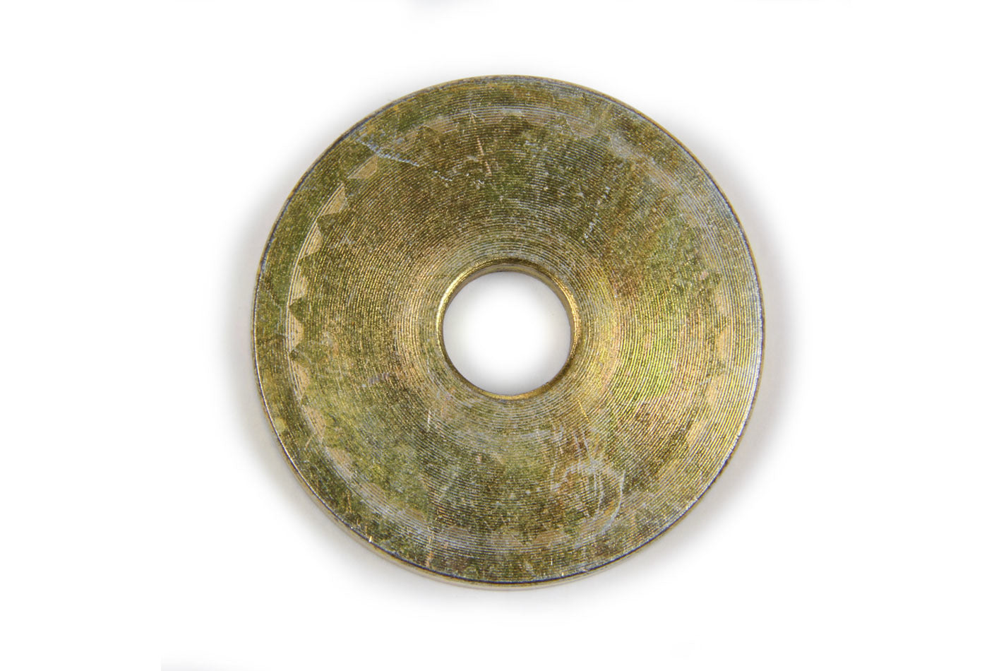BERSG-1213.jpg