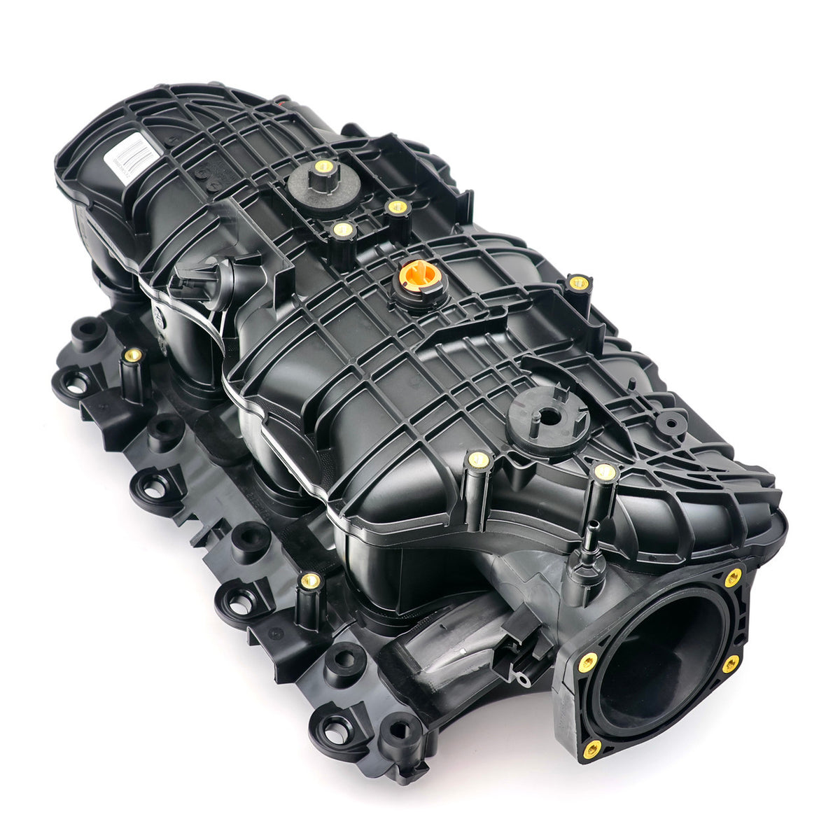 GMP12638038.jpg