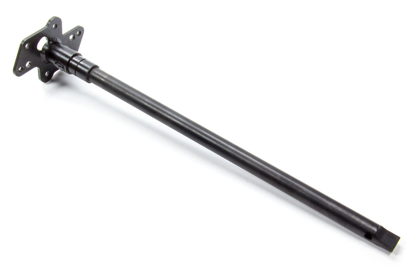 MSDASY15547.jpg