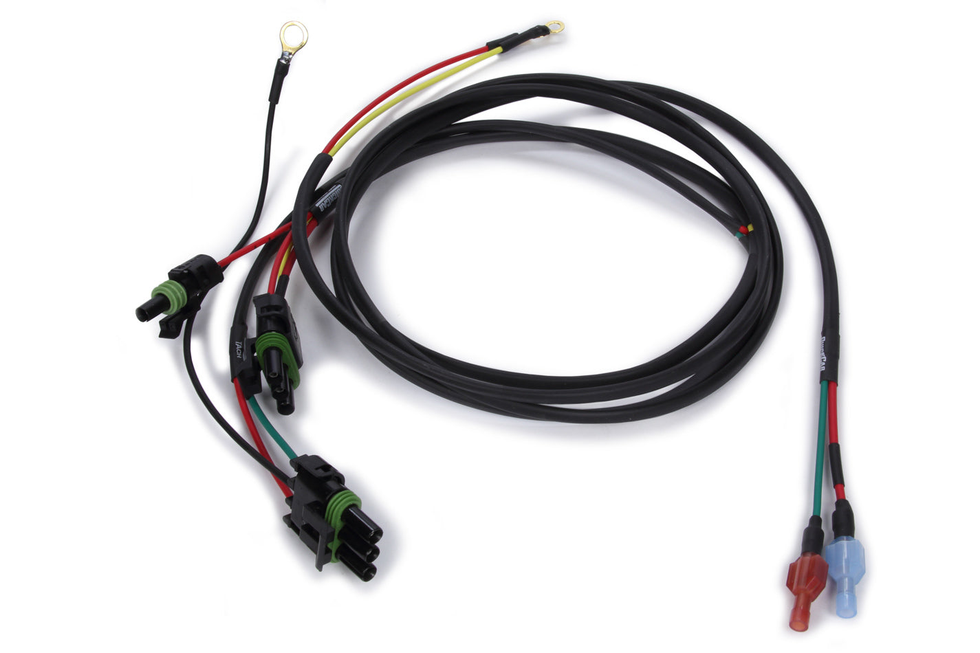 QRP50-2039.jpg