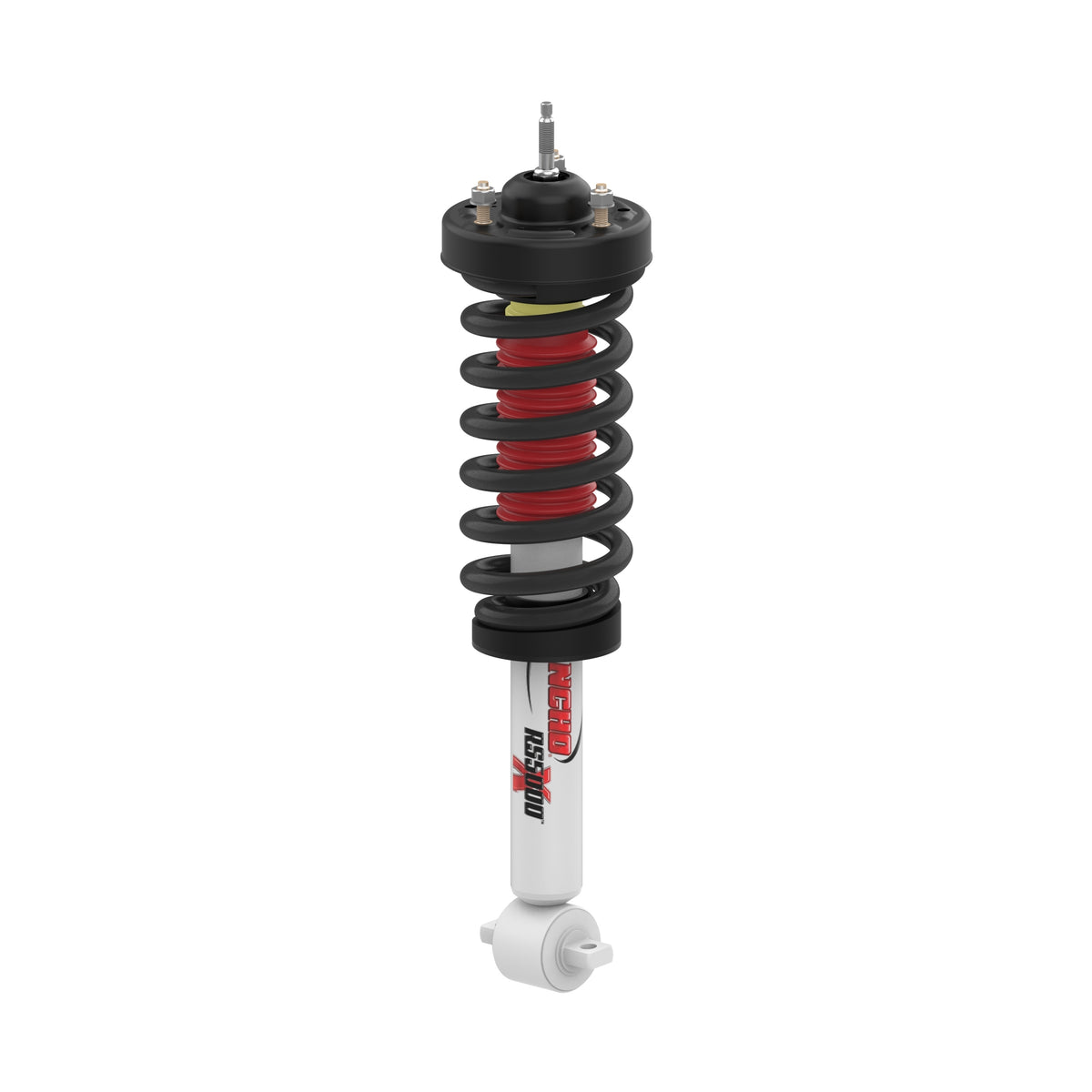 RANRS551836L.jpg