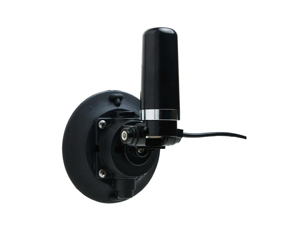 SESSM6171.jpg