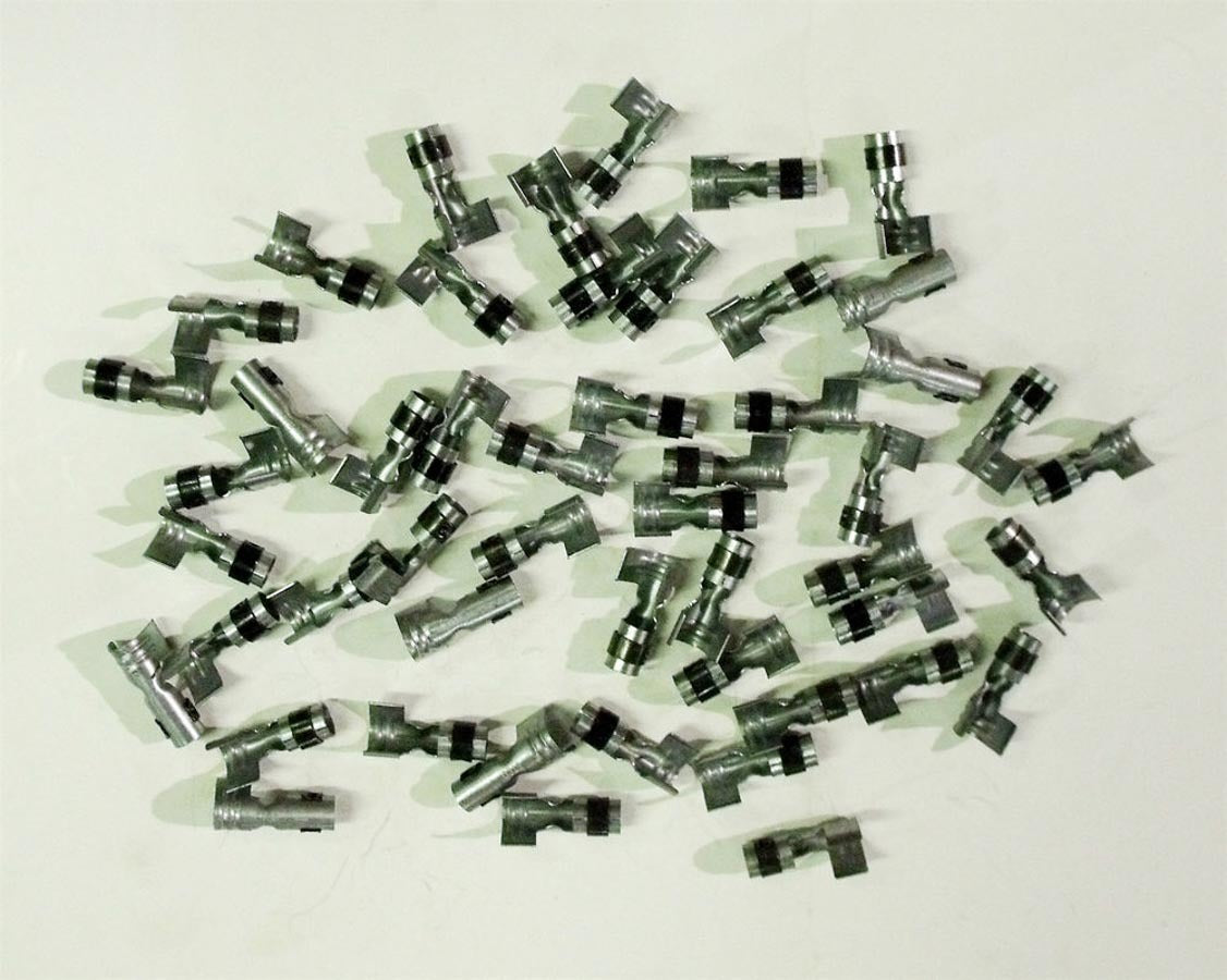 TAY44399.jpg