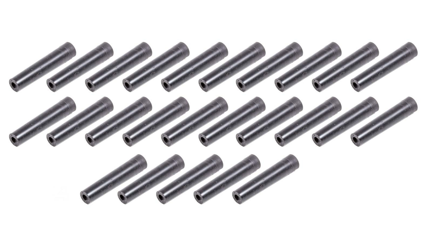 TAY46203.jpg