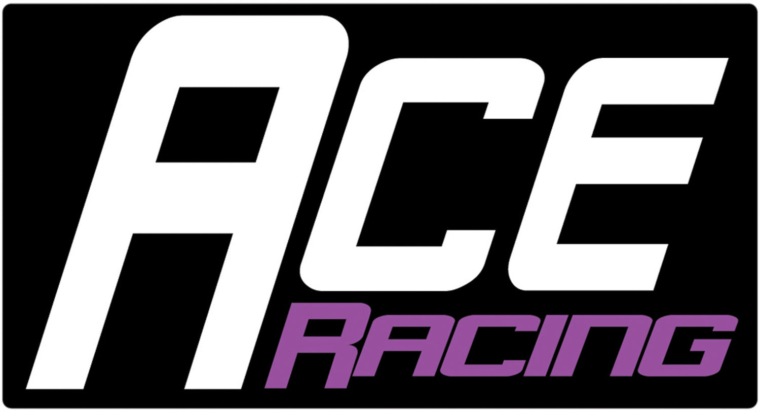 ACE100.jpg