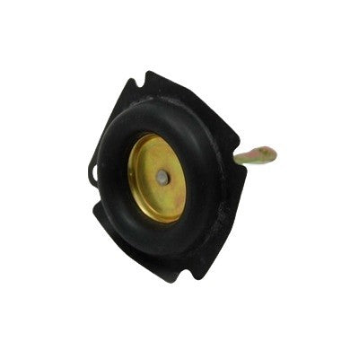 AED5340.jpg