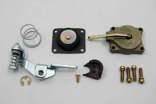 AED5565.jpg