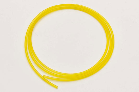AFC80161.jpg