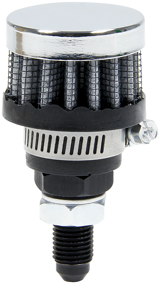 ALL36145.jpg