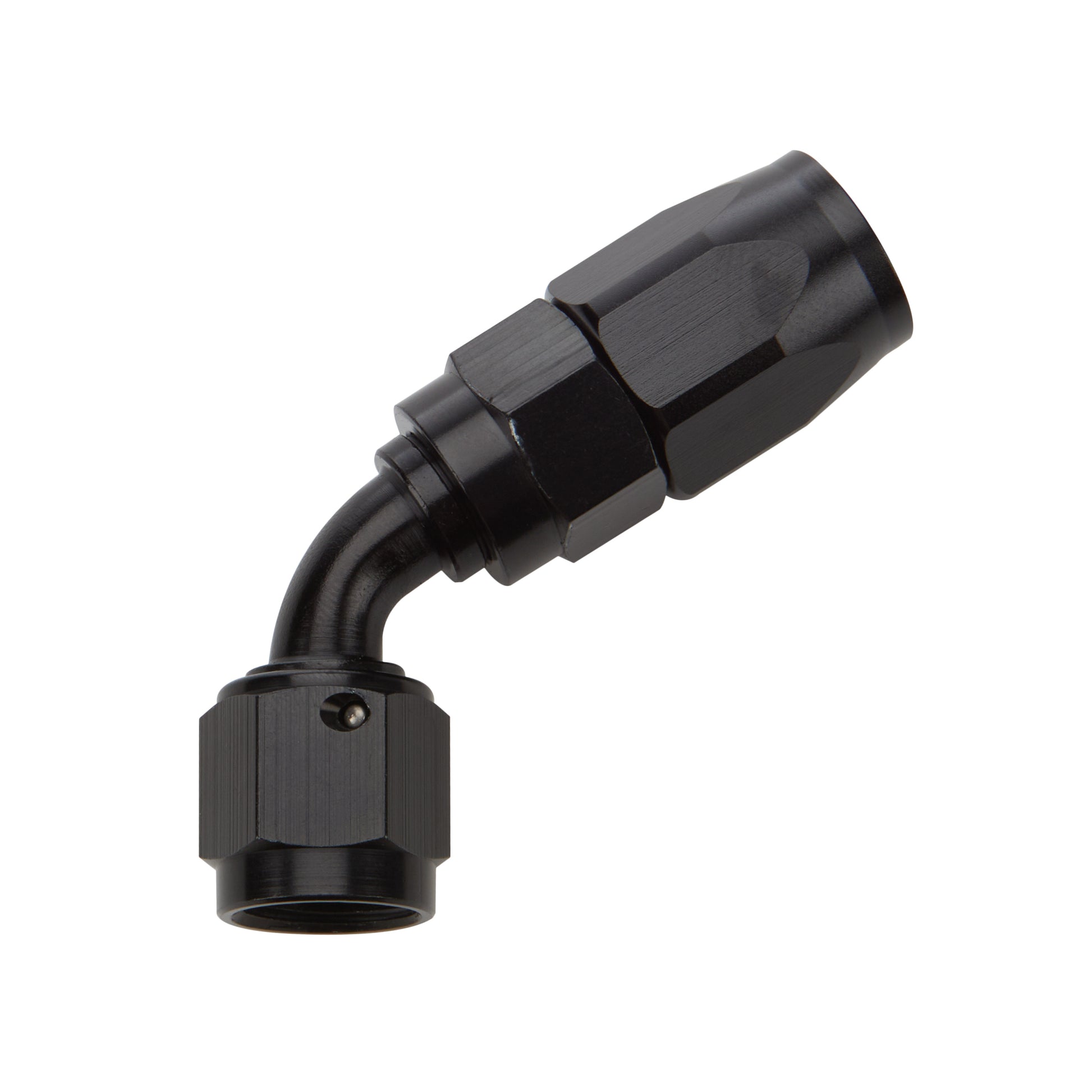ALL49343.jpg