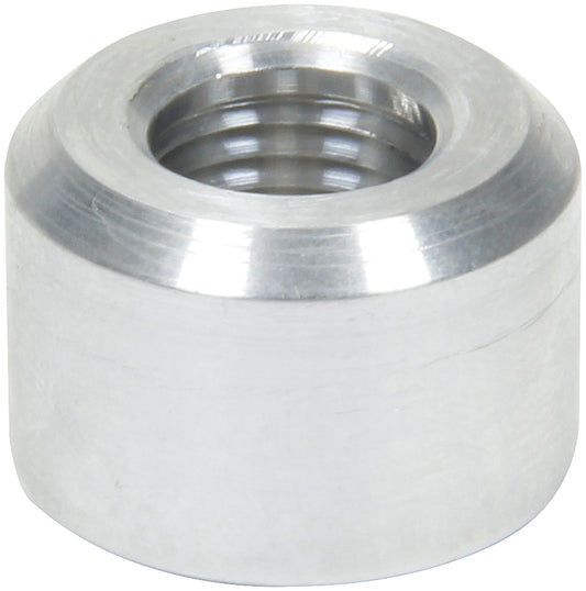 ALL50740.jpg