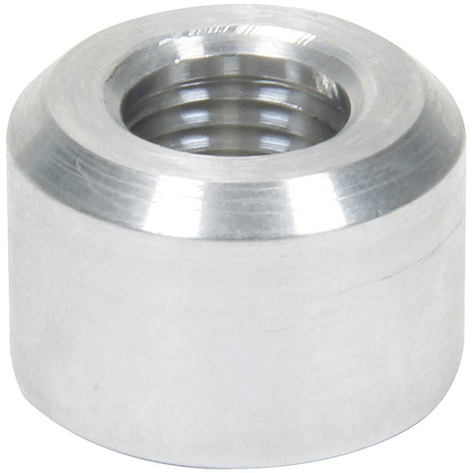 ALL50741.jpg