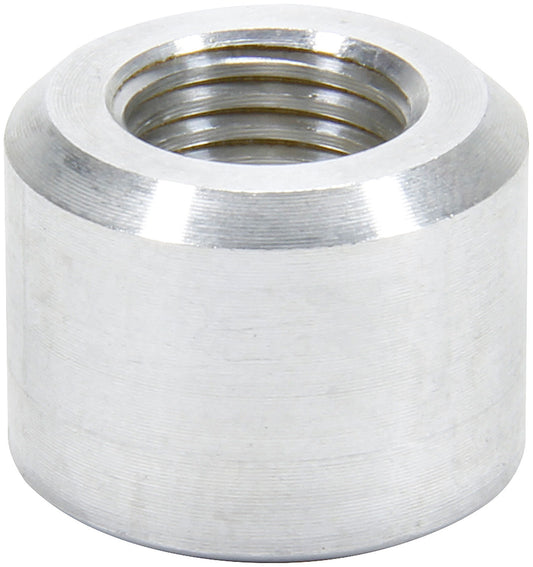 ALL50781.jpg