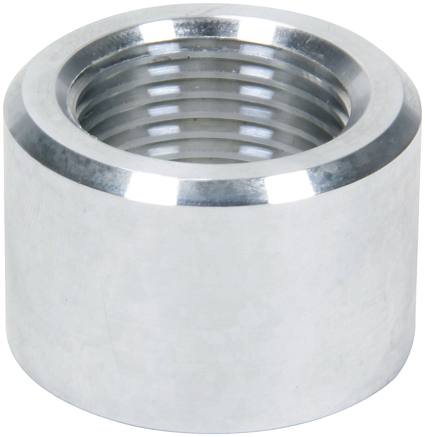 ALL50784.jpg