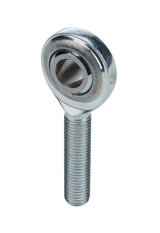 ALL58015.jpg