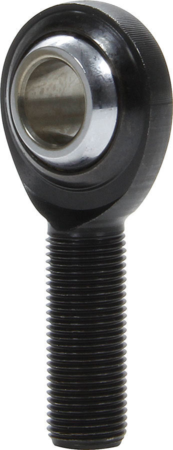 ALL58083-10.jpg