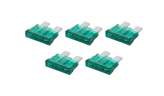 ALL76369.jpg