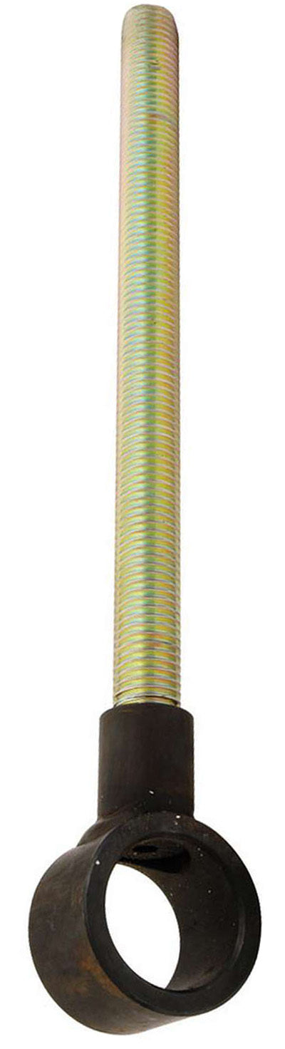 ALL99020.jpg