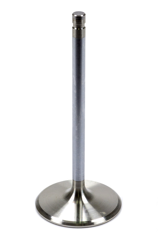 BROBR81375.jpg