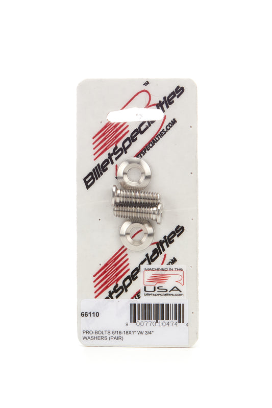 BSP66110.jpg