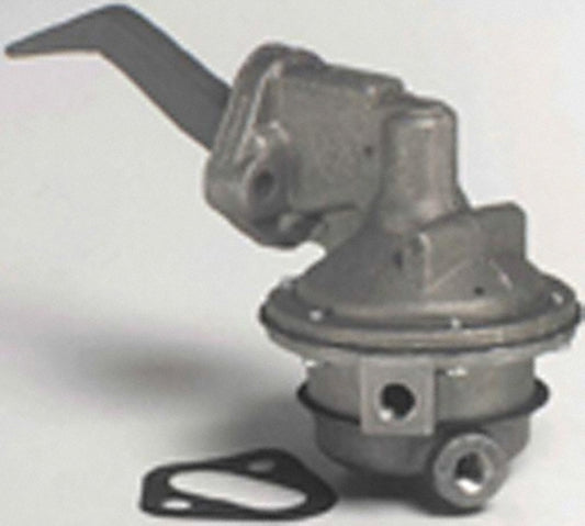 CARM60454.jpg