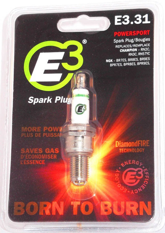 E3PE3.31.jpg