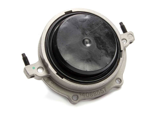 GMP12554312.jpg