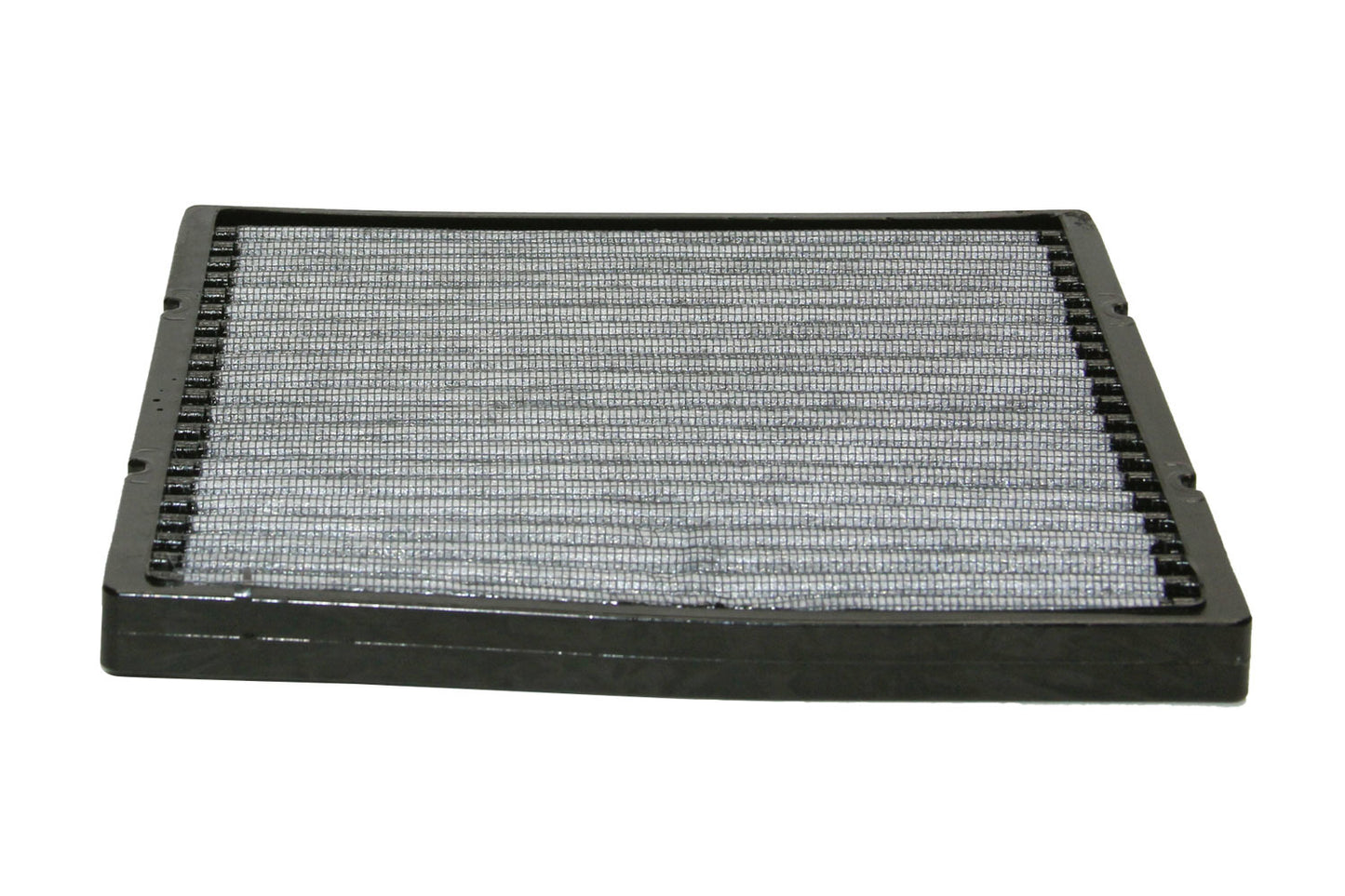KNEVF2002.jpg