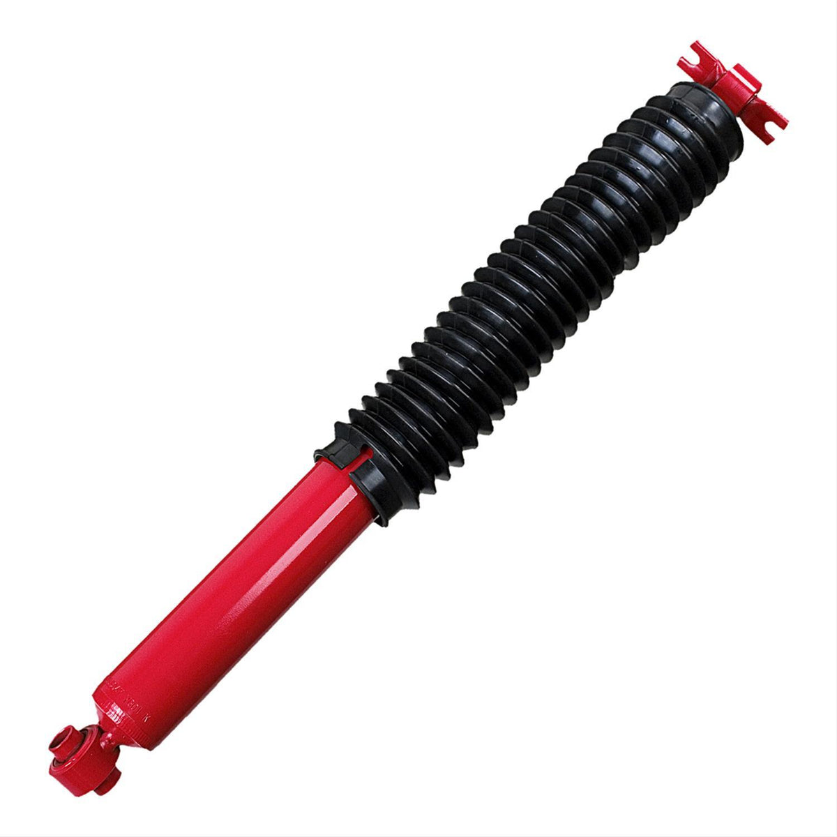 KYB565047.jpg
