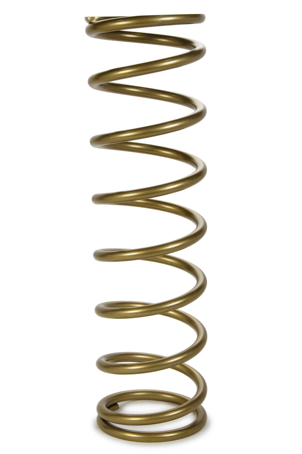 LANK18-100.jpg