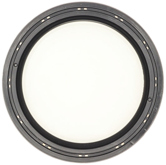 M7768019.jpg
