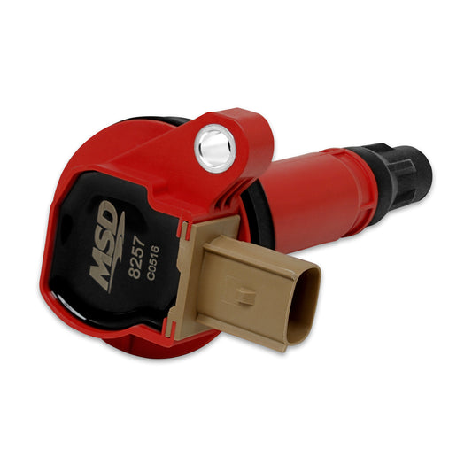 MSD8257.jpg