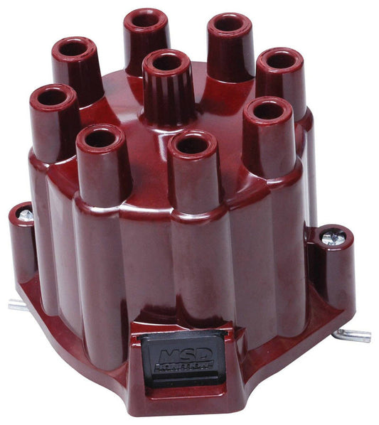MSD8437.jpg
