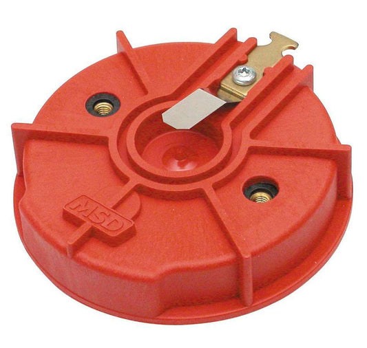 MSD8457.jpg