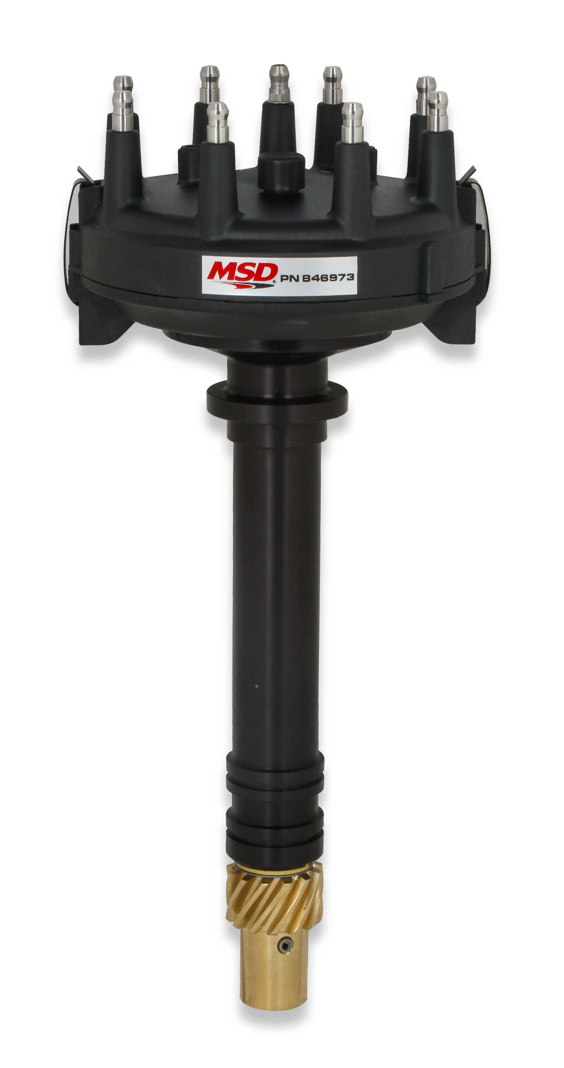 MSD846973.jpg