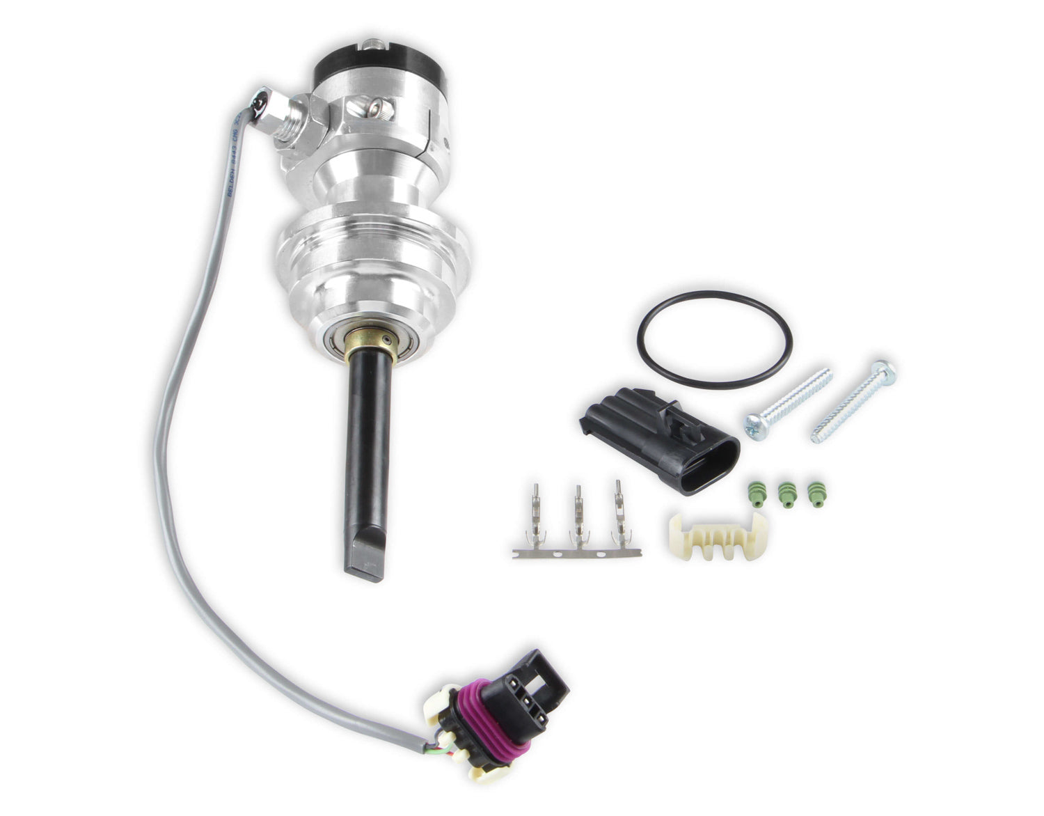 MSD85231.jpg