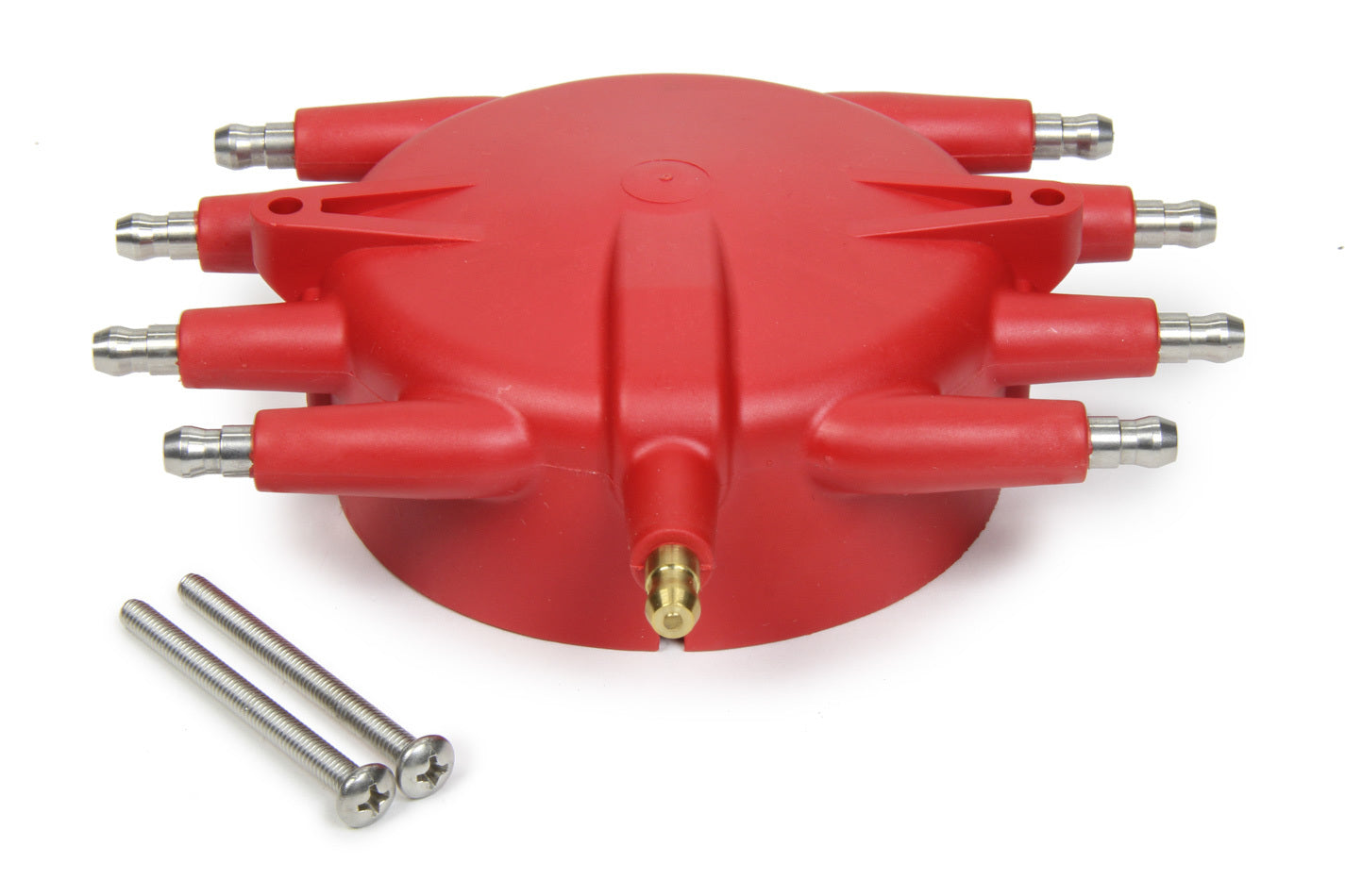 MSD8541.jpg