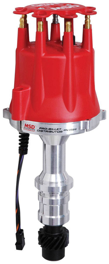 MSD8566.jpg