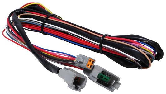 MSD8855.jpg